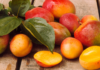 African Mango Review: Is It That Good? Here Are the Real Facts About AM African Mango Reviews
