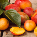 African Mango Review: Is It That Good? Here Are the Real Facts About AM African Mango Reviews