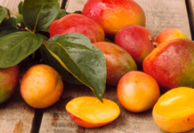 African Mango Review: Is It That Good? Here Are the Real Facts About AM African Mango Reviews