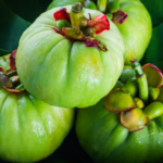 Garcinia Cambogia Extract: Is It Really A Magic Weight Loss Supplement? Pure Garcinia Cambogia Extract Benefits