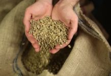 Green Coffee Bean Extract: We Took It for A Spin – Here Are Our Findings Pure Green Coffee Bean Extract Review