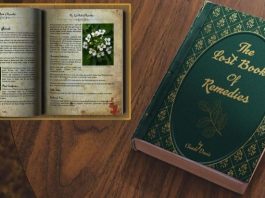 The Lost Book of Remedies Review The Lost Book of Remedies Reviews